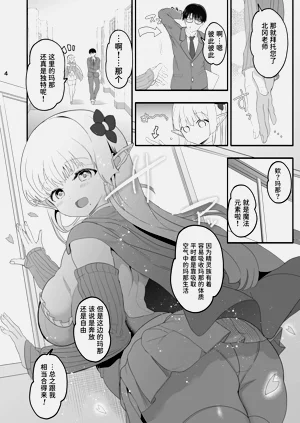 第4页图