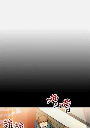 第206頁圖