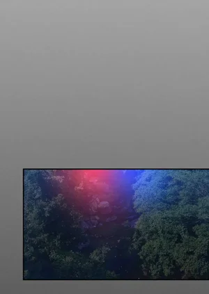 第164頁圖