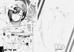 第68頁圖