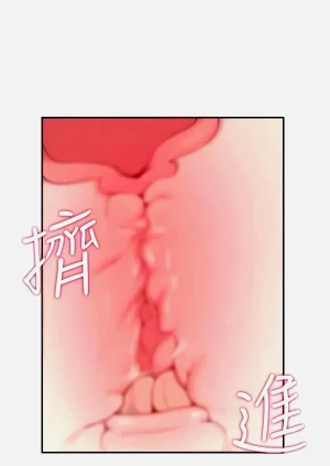 第149頁圖