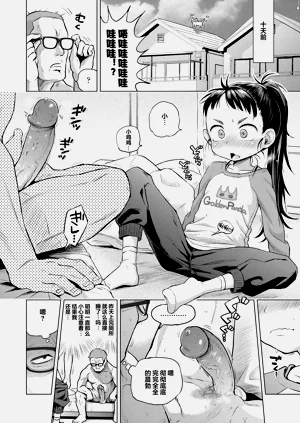 第8页图