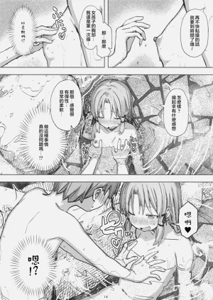第13页图
