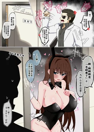 第333頁圖