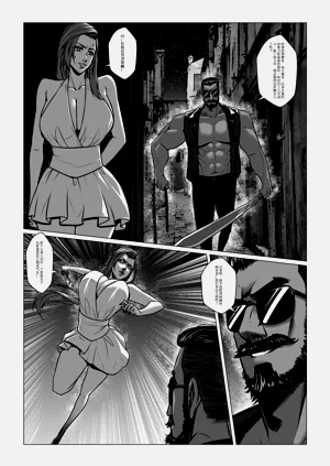 第33页图