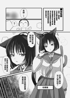 第11页图