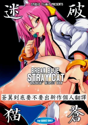 BREAK BLUE STRAY CAT图