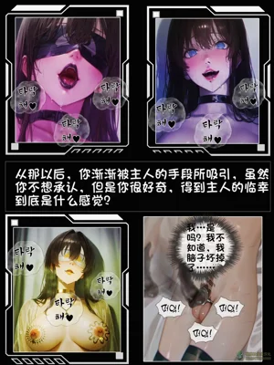 第152頁圖