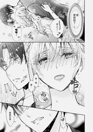 第239頁圖