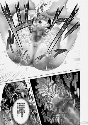 第273頁圖