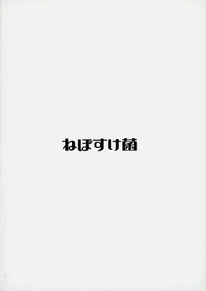 第22页图