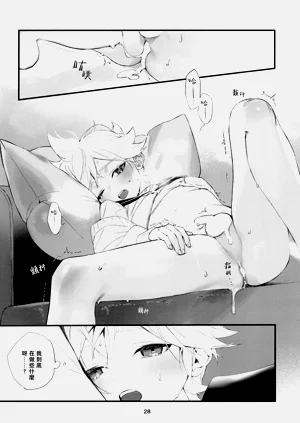 第29頁圖