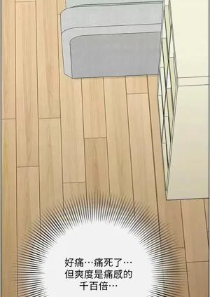 第371頁圖