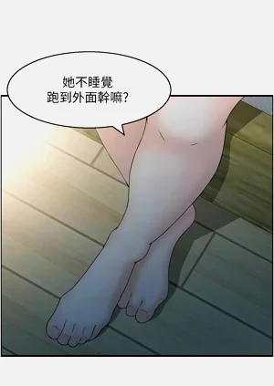 第411頁圖