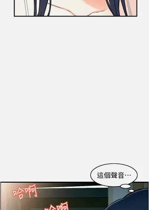 第417頁圖