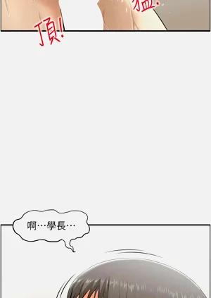 第419頁圖