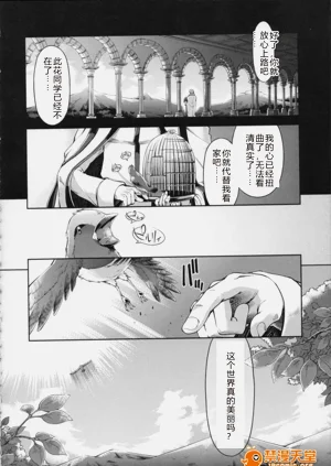 第142頁圖