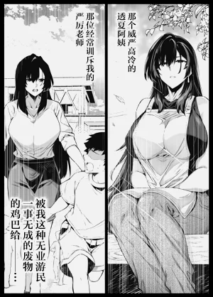 第381頁圖