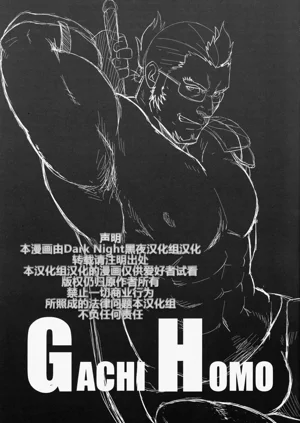 第2页图