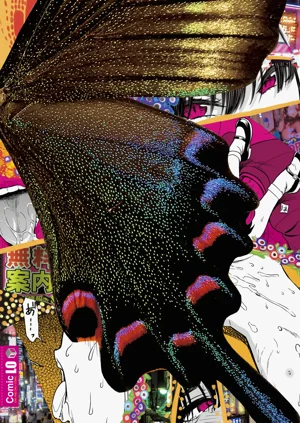 第218頁圖