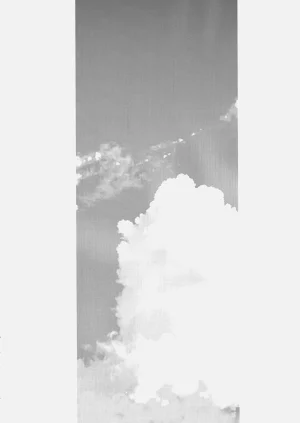 第175页图