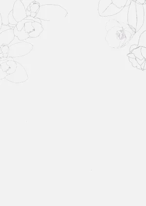 第96页图