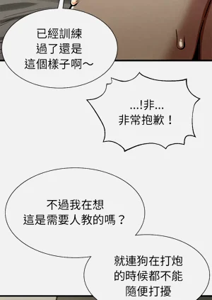 第272頁圖