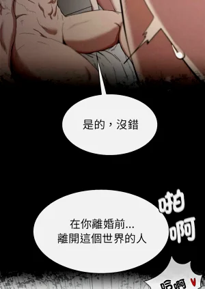 第351頁圖