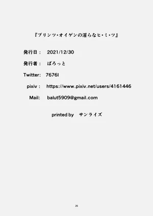 第25页图