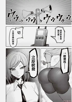 第276頁圖
