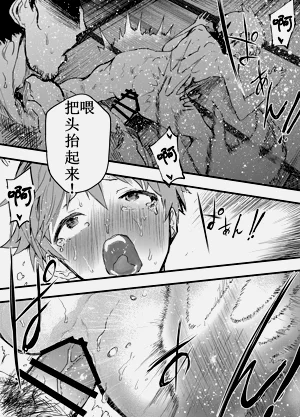 第12页图