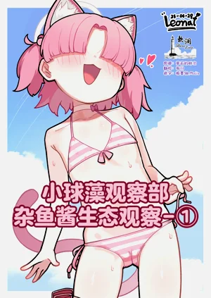 小球藻观察部杂鱼酱生态观察-①图