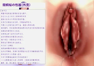第11頁圖