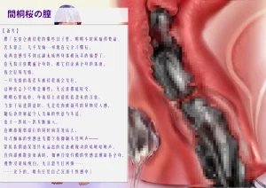 第24頁圖