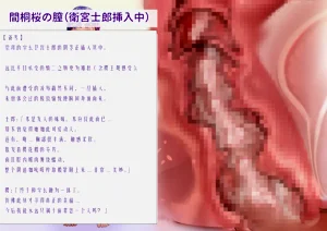 第31頁圖