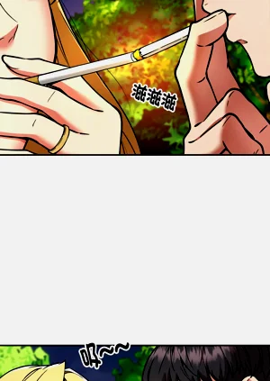第398頁圖