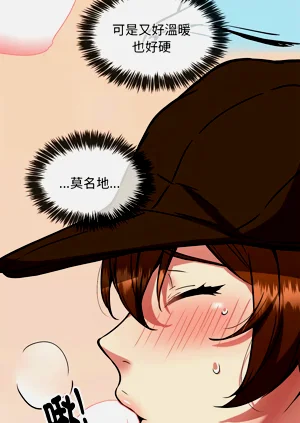 第426頁圖