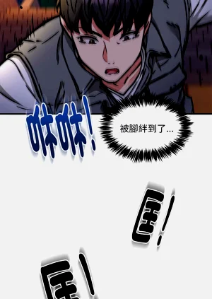 第511頁圖