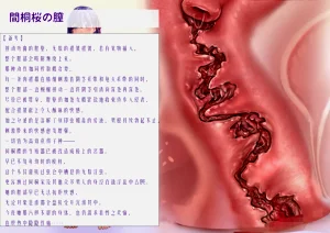 第31頁圖