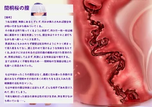 第32頁圖