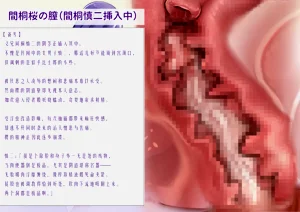 第37頁圖