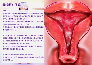 第45頁圖