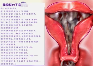 第47頁圖