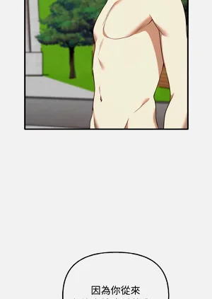 第252頁圖
