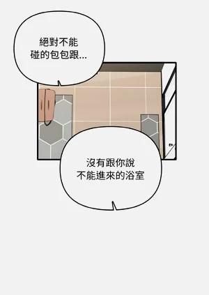 第302頁圖