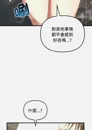 第305頁圖