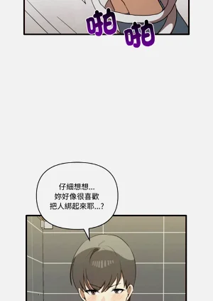 第337頁圖