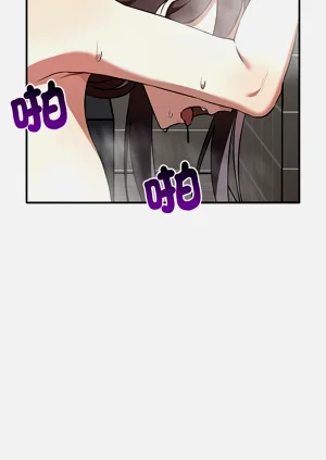第381頁圖