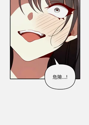 第385頁圖