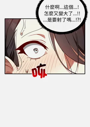 第404頁圖